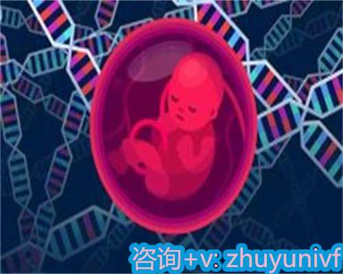 上海试管婴儿技术哪一代好，费用大约在多少？