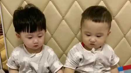  上海试管婴儿费用多少？附2026试管婴儿价格表